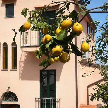 Rosmary - Coast - Gulf Of Naples View Апартаменты *