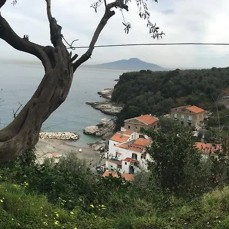 Rosmary - Coast - Gulf Of Naples View Апартаменты *
