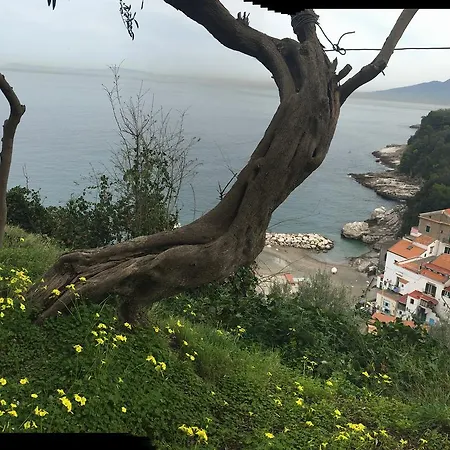 Rosmary - Coast - Gulf Of Naples View Апартаменты