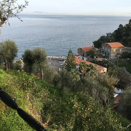 Rosmary - Coast - Gulf Of Naples View Апартаменты
