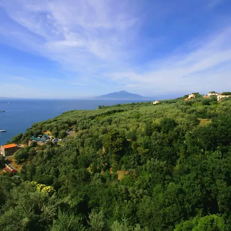 Апартаменты Rosmary - Coast - Gulf Of Naples View