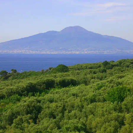Апартаменты Rosmary - Coast - Gulf Of Naples View Сорренто