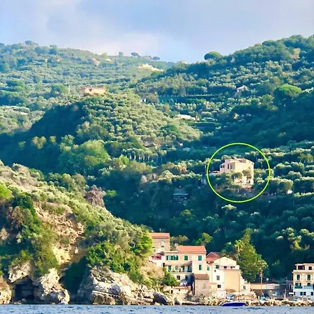 Rosmary - Coast - Gulf Of Naples View Сорренто